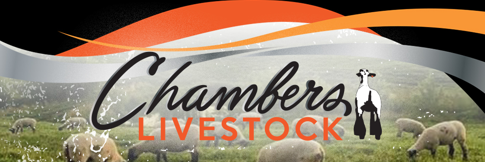 Chambers Livestock